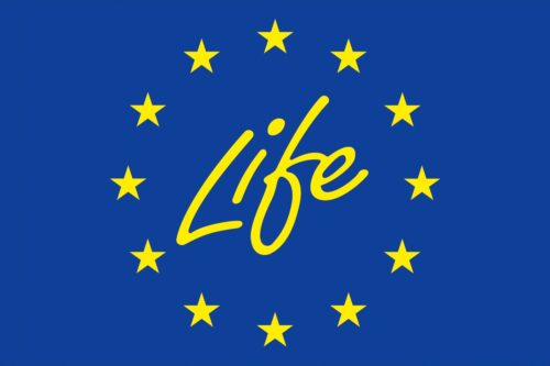 Webinar Programma LIFE