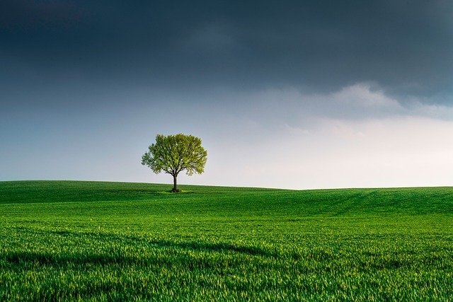 Regione Umbria. Misure di accelerazione dei processi di valutazione e autorizzazione ambientale con particolare riferimento a progetti PNRR e PNC