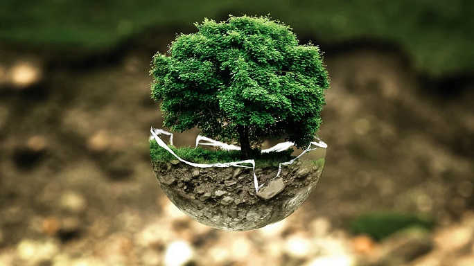 Resoconto delle attività in materia di ambiente